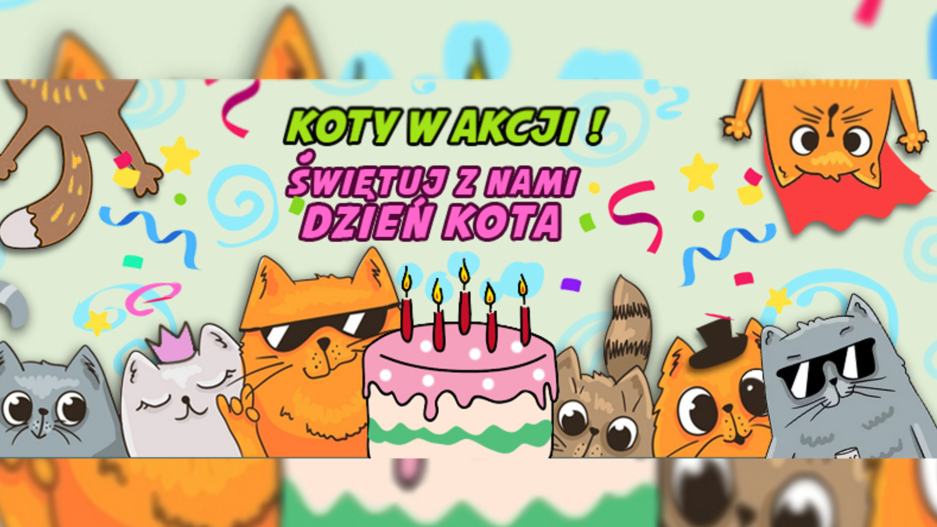 Koty w akcji - świętuj z nami Dzień Kota!