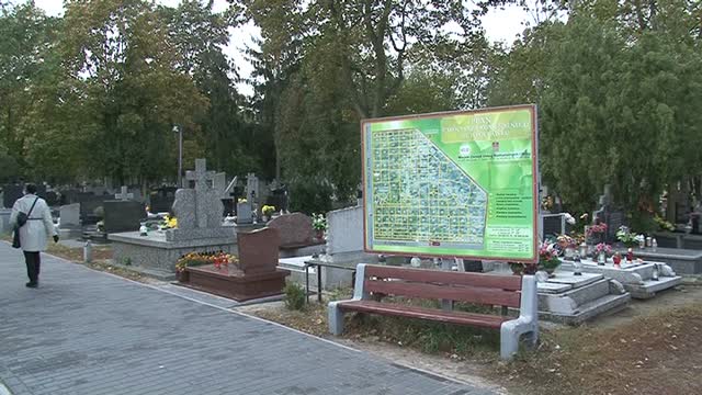 Puls Miasta z dnia 13 Października 2016r.