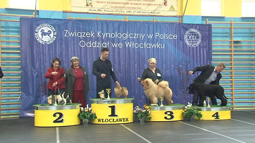 Rekordowa frekwencja na VI wystawie psów rasowych w Choceniu