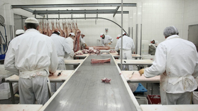 Afera z wołowiną. Mięso z nielegalnej ubojni trafiło do 10 krajów