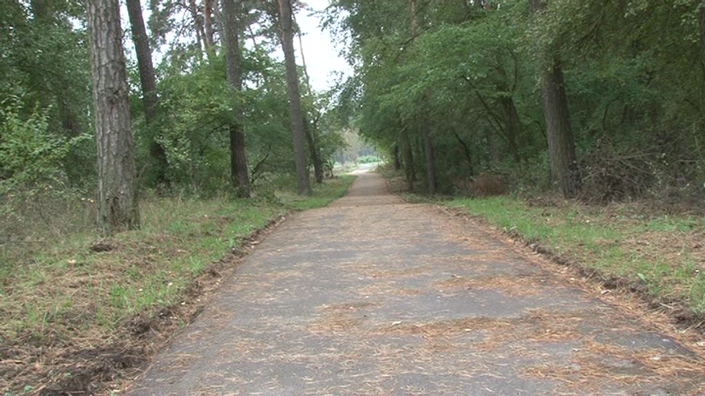 Ścieżka rowerowa na granicy miasta i gminy Włocławek doczeka się remontu