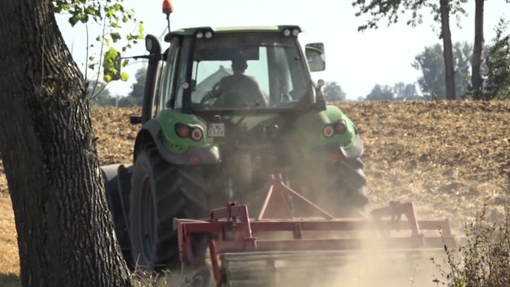 Rolniku sprawdź ile Ci dopłacą