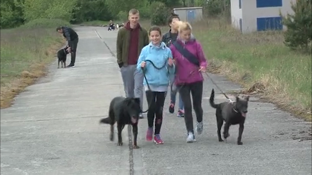 Bieg na 6 łap już w niedziele!